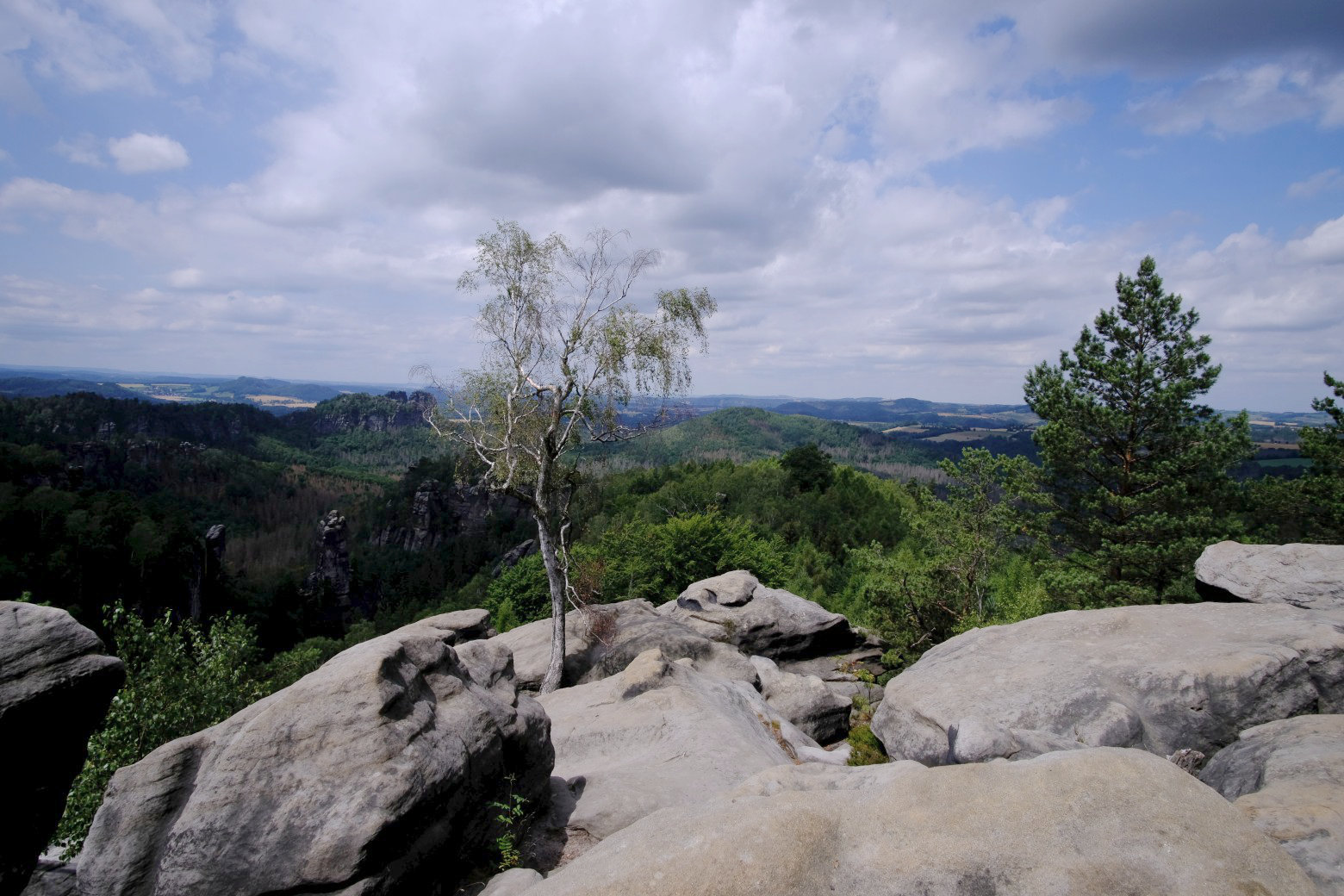 Ausblick vom Carolafelsen